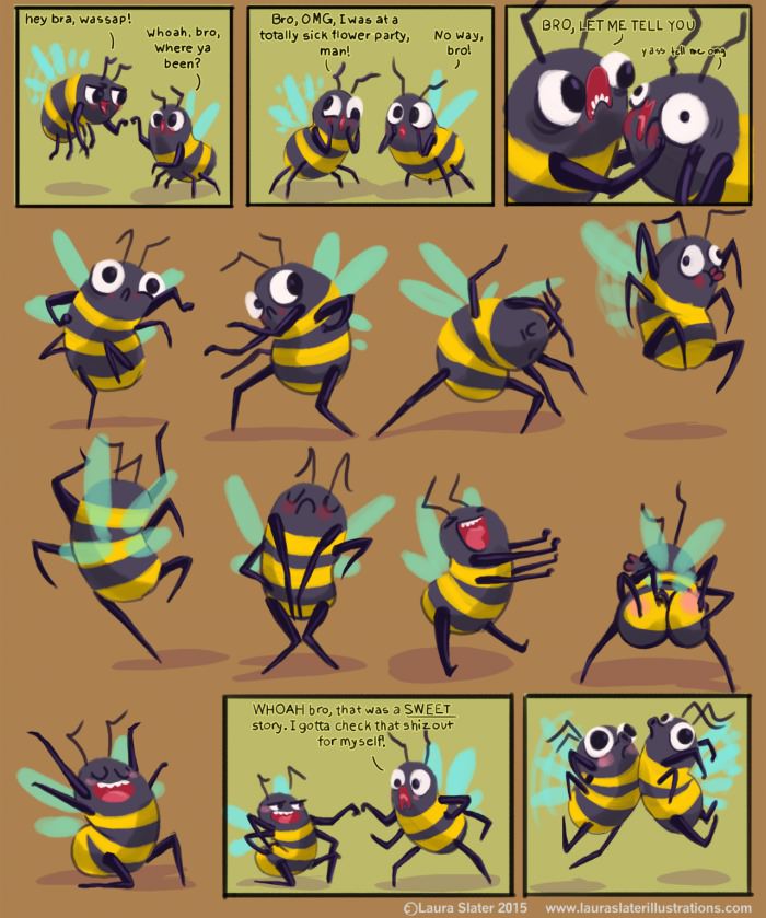 Bee Bros Tell Stories Hardcore