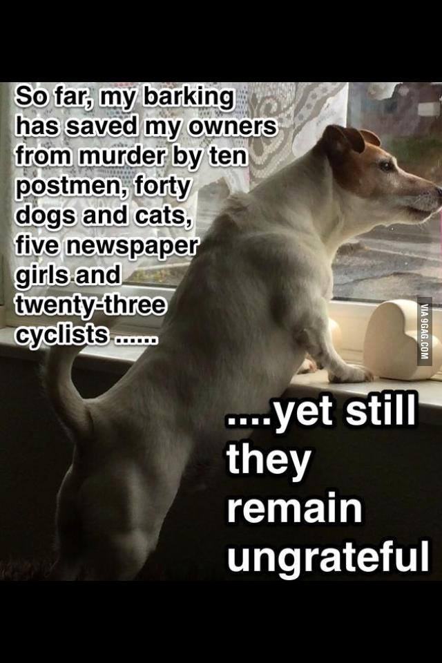 Dog Logic