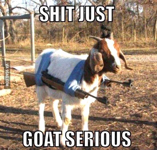 Goat to get the f**k out of here...