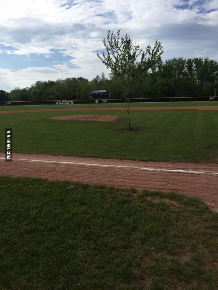 High school pranksters in Ohio planted a tree in the middle of the baseball field