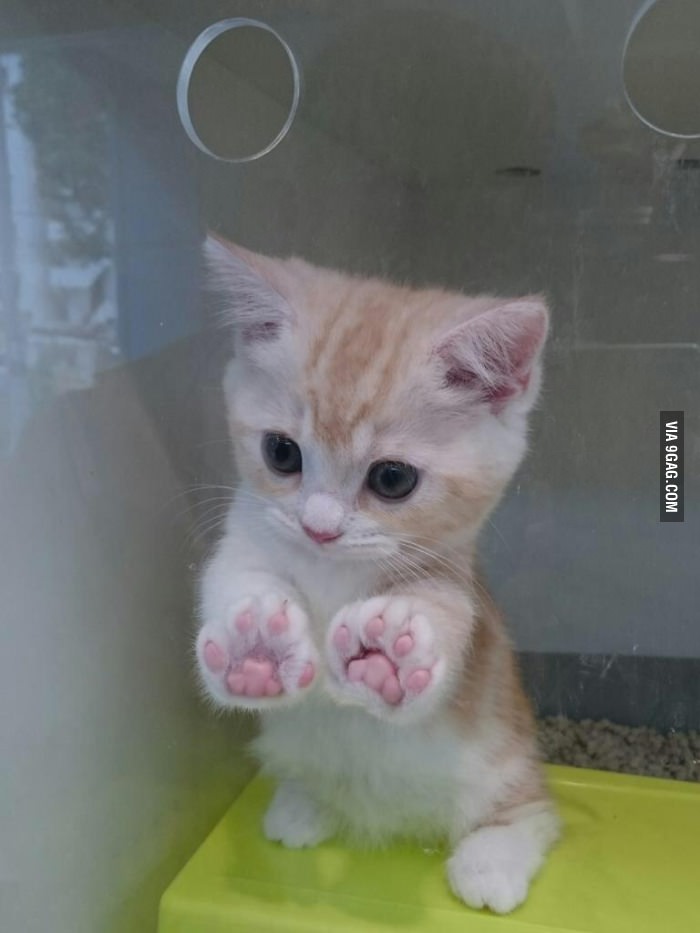 Look at my jellybean toes!