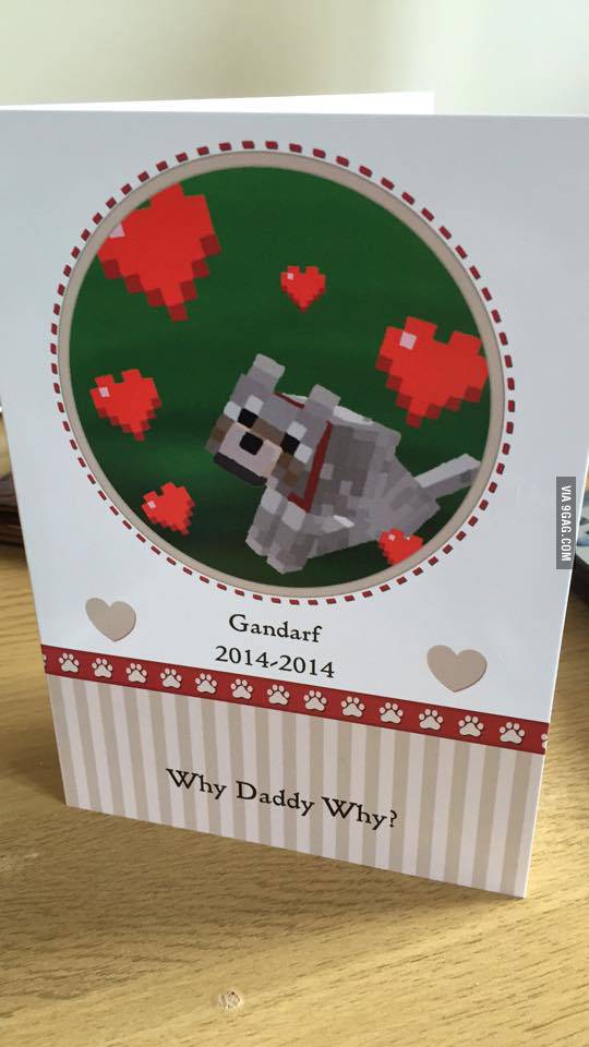 My friend on the Minecraft server accidentally shot his Minecraft dog. We sent him this.