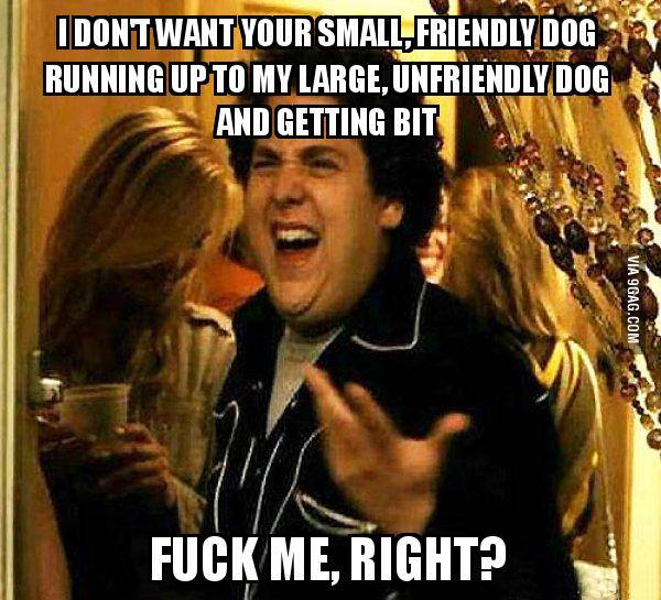 People get so offended when I tell them they should have their dog on a leash...