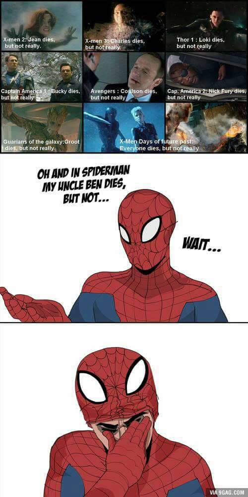 Poor spidey!