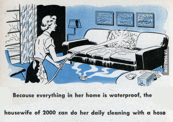 The housewife of year 2000.