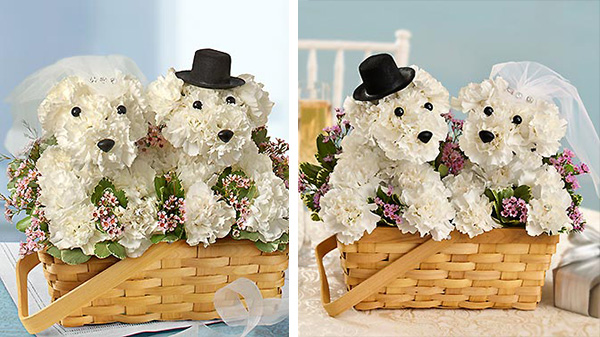 17 Beautiful Flower Arrangements For Dog Lovers