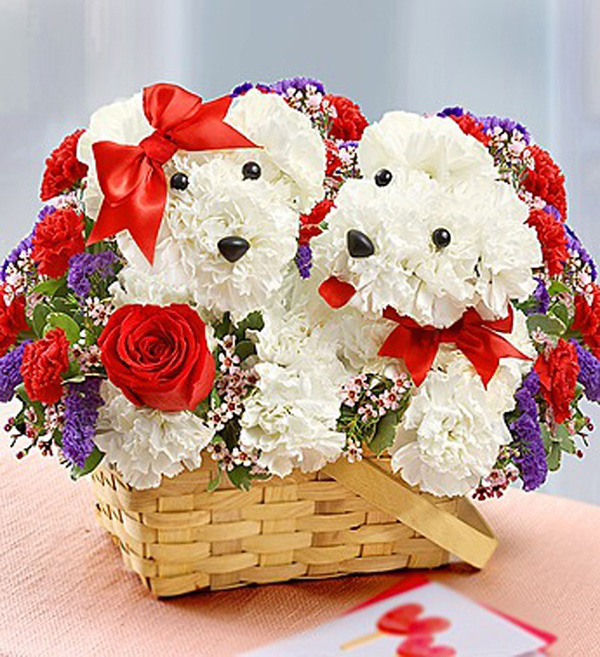 17 Beautiful Flower Arrangements For Dog Lovers