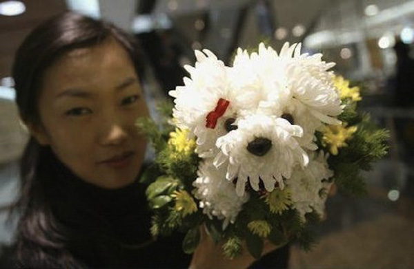 17 Beautiful Flower Arrangements For Dog Lovers