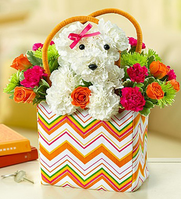 17 Beautiful Flower Arrangements For Dog Lovers