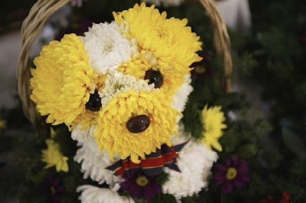 17 Beautiful Flower Arrangements For Dog Lovers