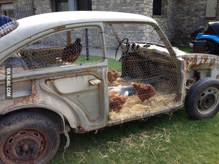 Accidentally Googled chicken coupe. Was not disappointed.