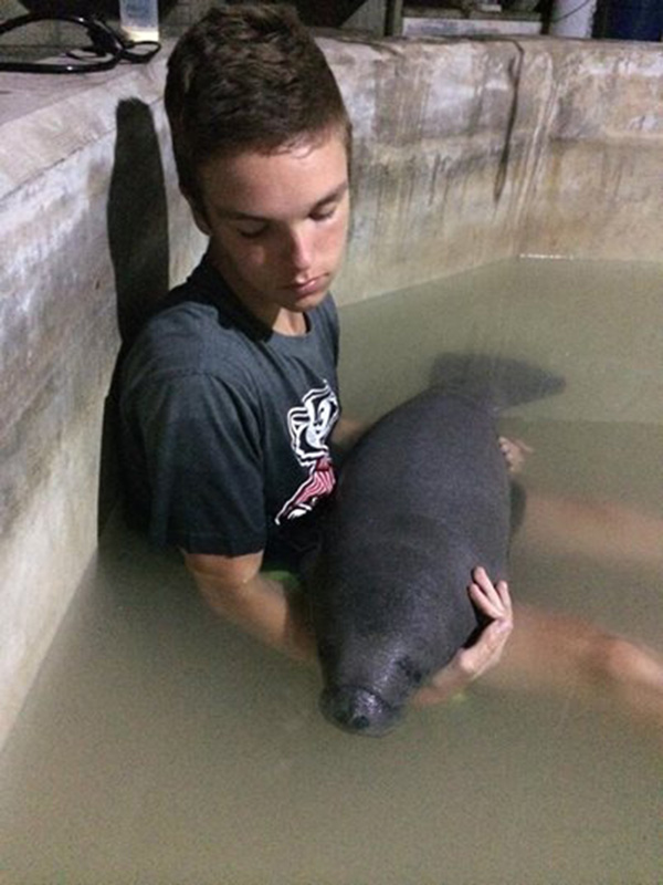 After Its Mother Was Killed, This Baby Manatee Had No Way To Survive. And Then This Happened