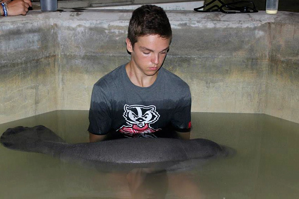 After Its Mother Was Killed, This Baby Manatee Had No Way To Survive. And Then This Happened