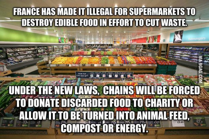 Amazing idea! Hopefully more countries will follow their lead...