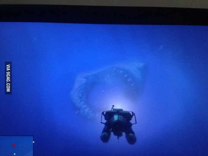 Apparently there&#039;s a Megalodon in Grand Theft Auto V