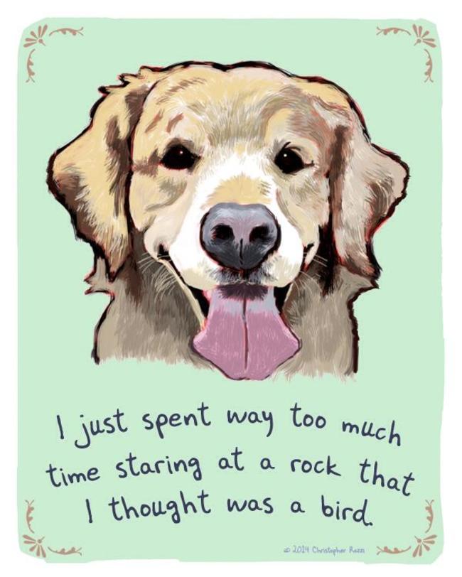 Artist Creates Hilarious Posters Of Dogs And Cats Confessing Their Deepest Secrets