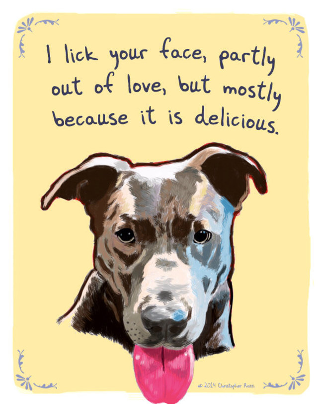 Artist Creates Hilarious Posters Of Dogs And Cats Confessing Their Deepest Secrets