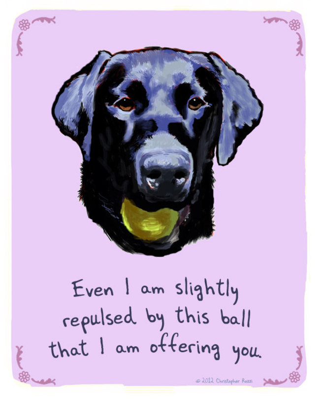 Artist Creates Hilarious Posters Of Dogs And Cats Confessing Their Deepest Secrets