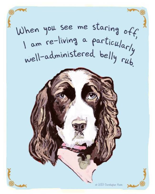 Artist Creates Hilarious Posters Of Dogs And Cats Confessing Their Deepest Secrets