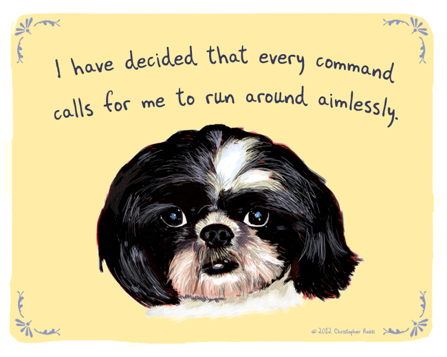 Artist Creates Hilarious Posters Of Dogs And Cats Confessing Their Deepest Secrets