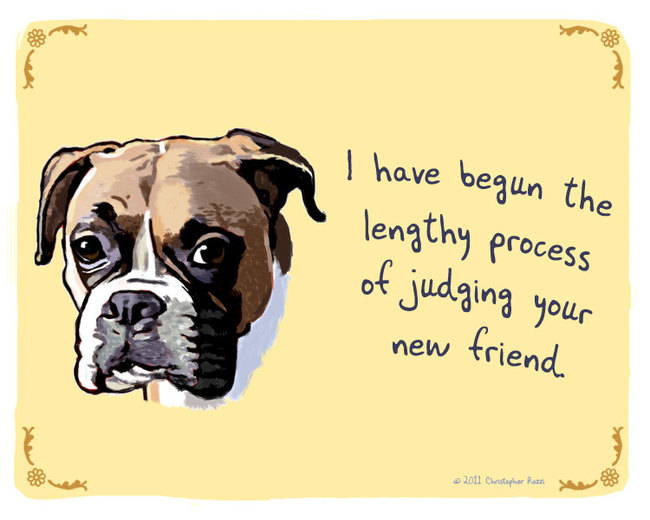 Artist Creates Hilarious Posters Of Dogs And Cats Confessing Their Deepest Secrets