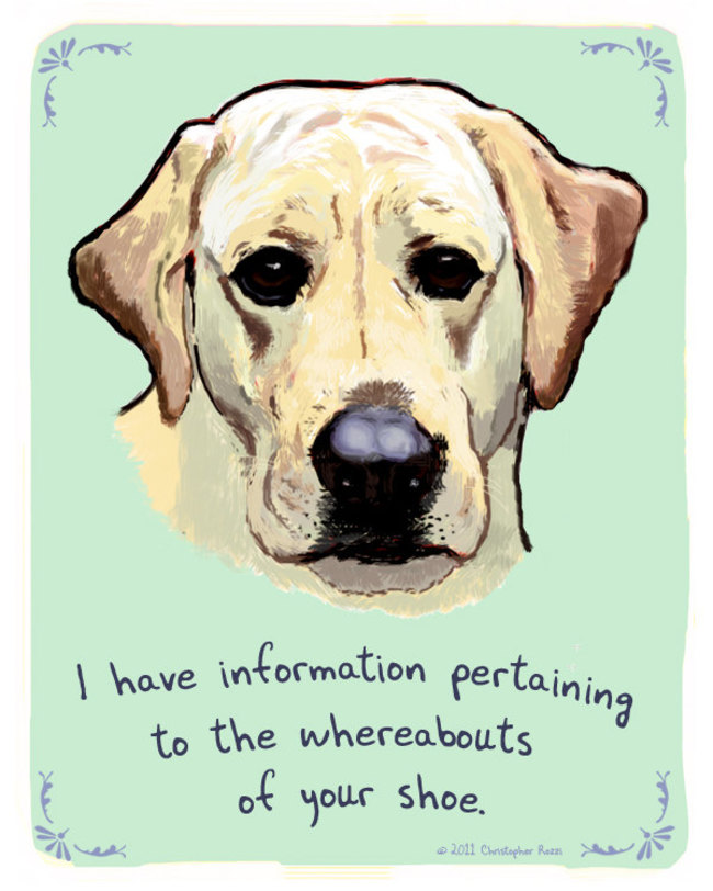 Artist Creates Hilarious Posters Of Dogs And Cats Confessing Their Deepest Secrets