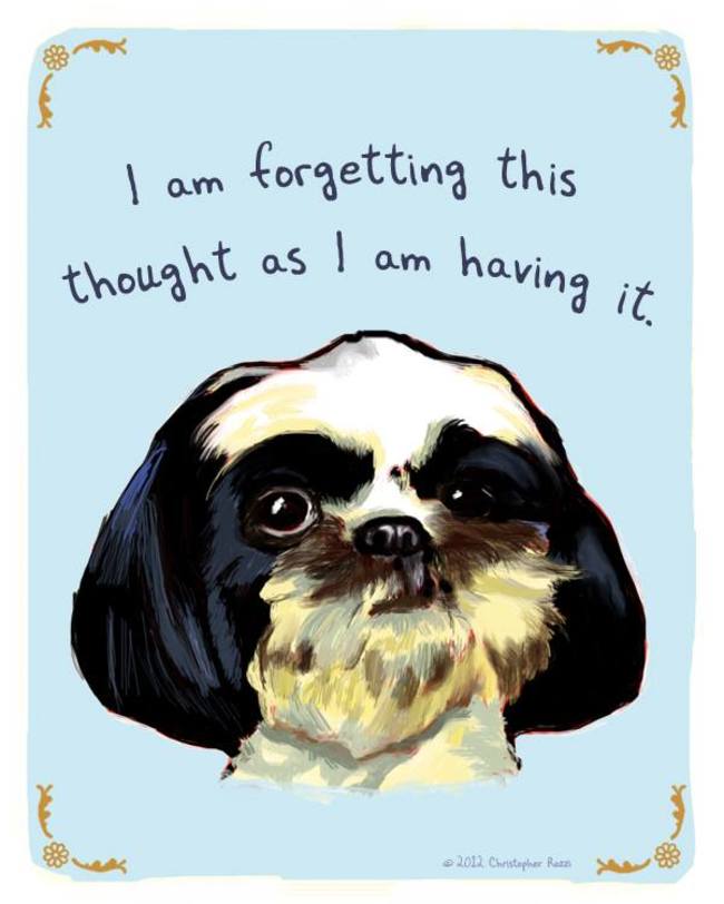 Artist Creates Hilarious Posters Of Dogs And Cats Confessing Their Deepest Secrets