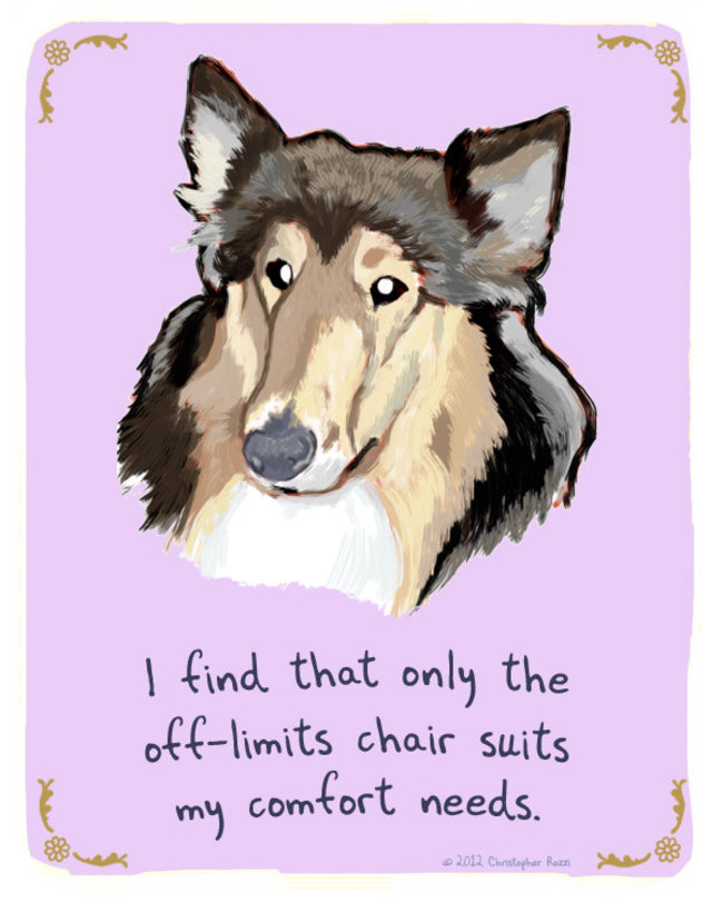 Artist Creates Hilarious Posters Of Dogs And Cats Confessing Their Deepest Secrets