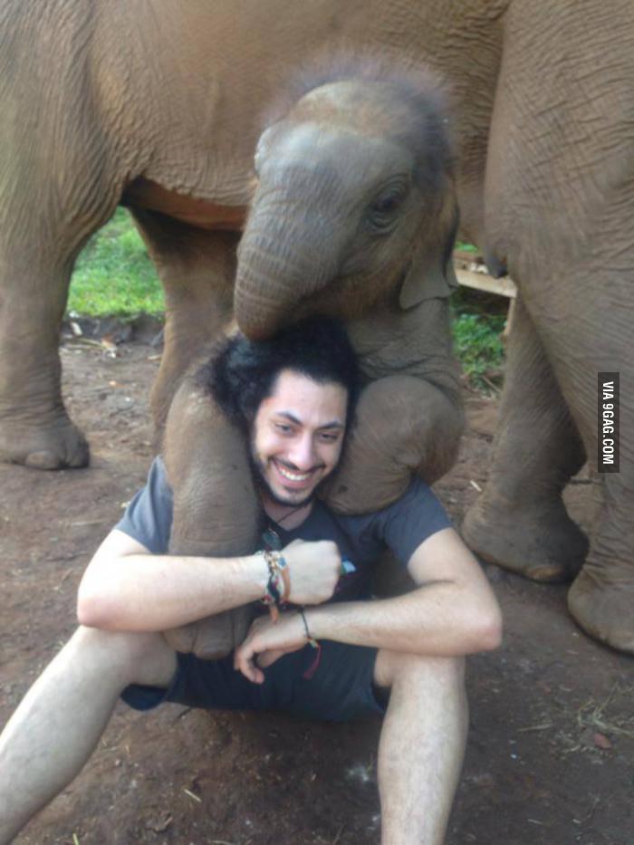 Baby Elephant Love.