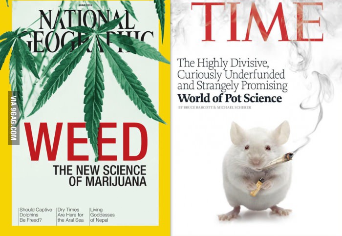 Both National Geographic and Time magazine are running cover stories about marijuana research