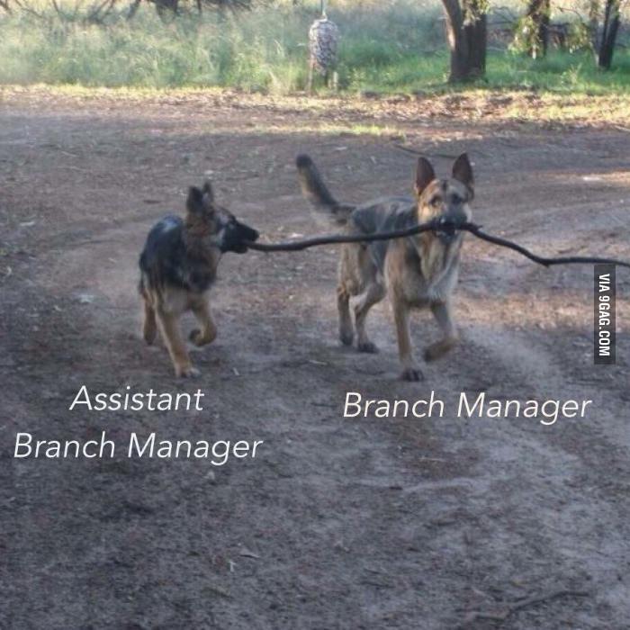 Branch Manager and assistant.