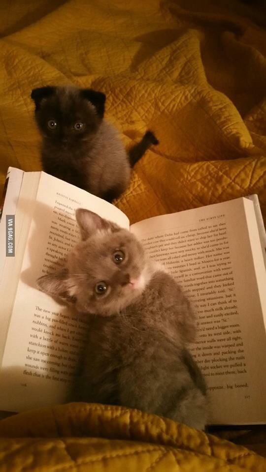 Cutest. Bookmark. Ever.