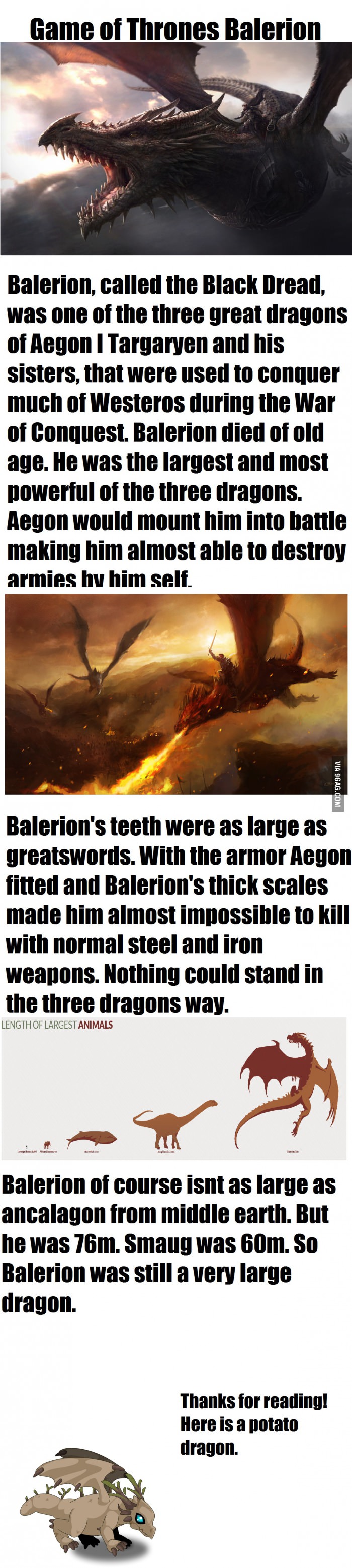 Does anybody else think a short movie or back story would be great on Balerion!