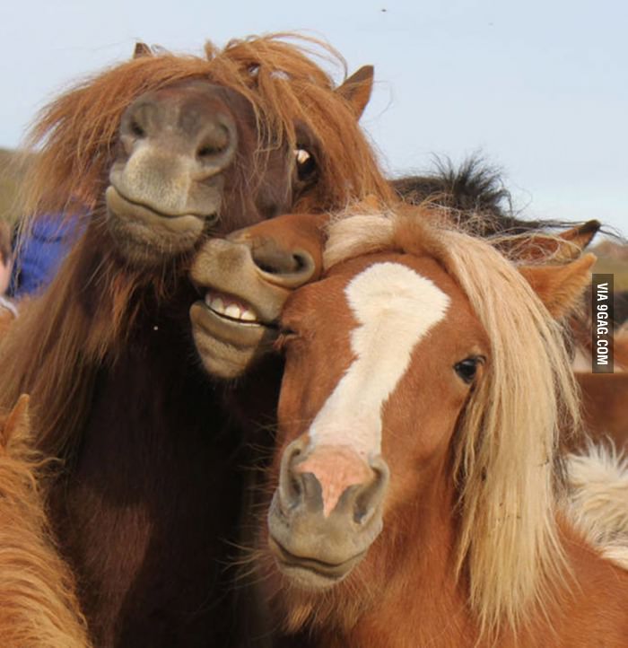 How drunk girls take selfies