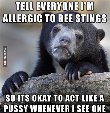 I just don&#039;t like bees