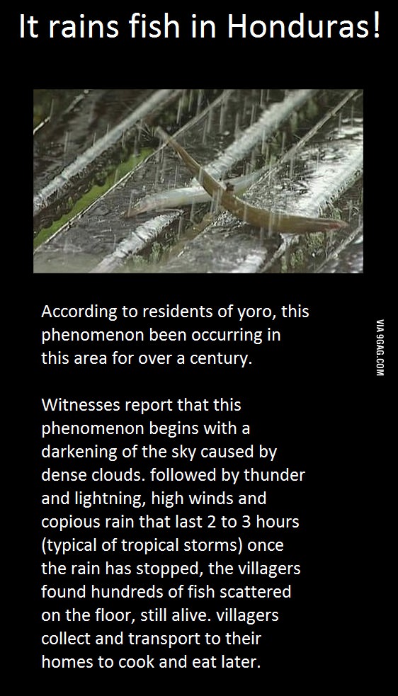 I&#039;m from Honduras, and this surprises me every time