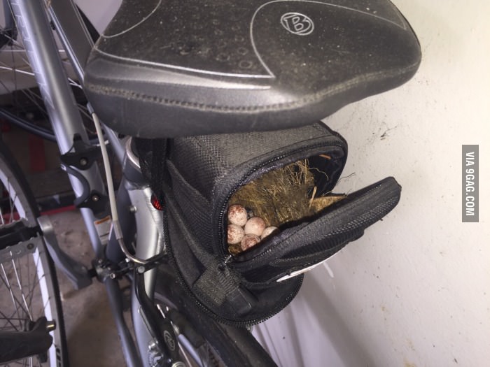Is it a little obvious that I don&#039;t ride my bicycle enough?