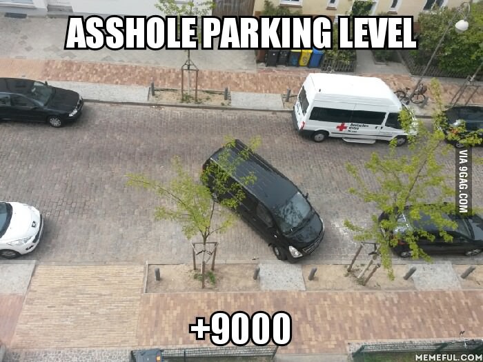 Master of a**hole parking