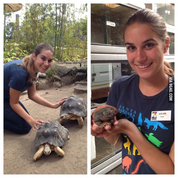 My awesome job! I&#039;m a Zoo Educator.