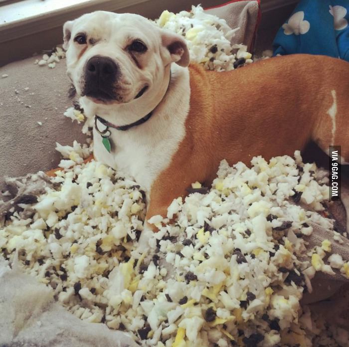 She is clearly proud of her work.
