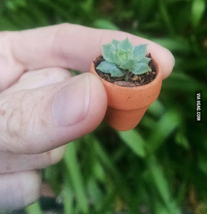 Still made me say &quot;aww&quot;
