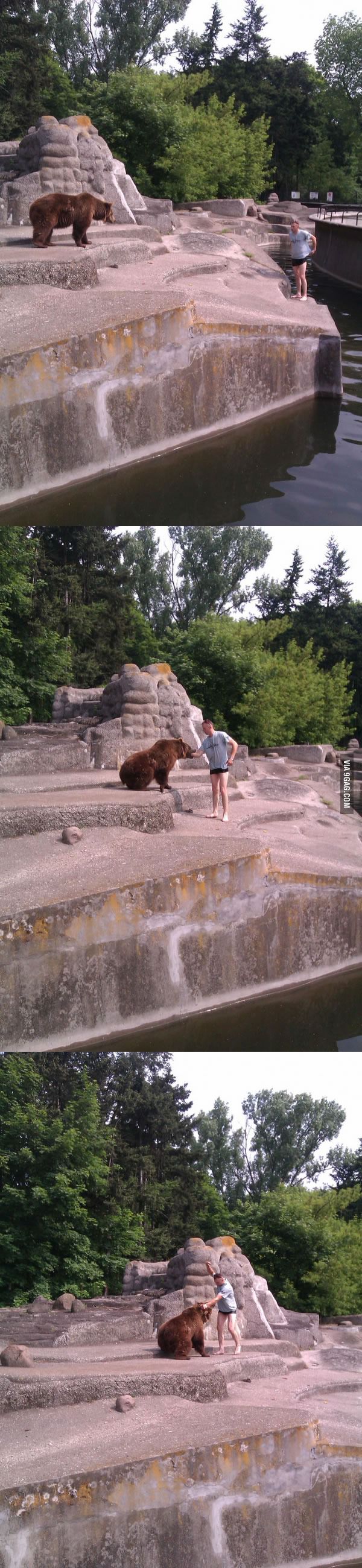 Stoned guy at Warsaw ZOO jumped in to the bear pen to pet the bear.