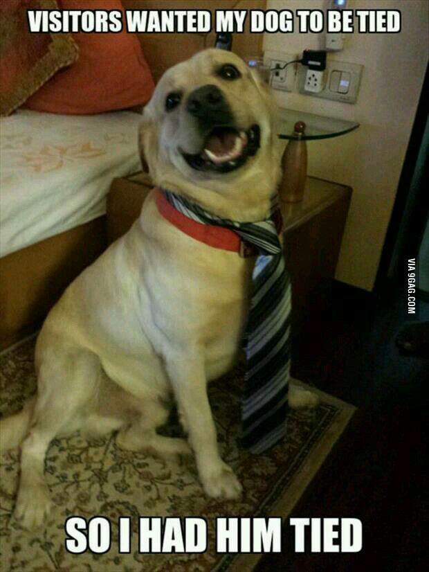That&#039;s all the tying that I am gonna do...