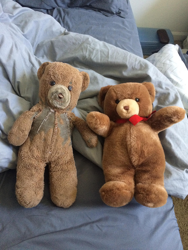 The Story Behind These IDENTICAL Teddy Bears Is Truly Priceless