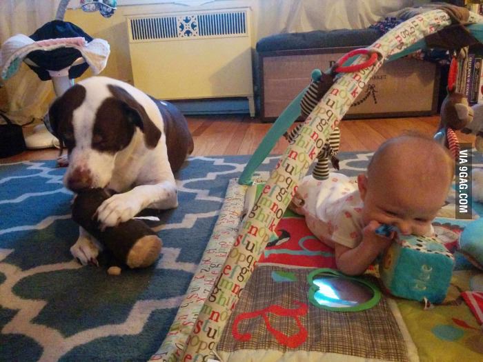 There&#039;s a reason they say owning a dog preps you for having kids.