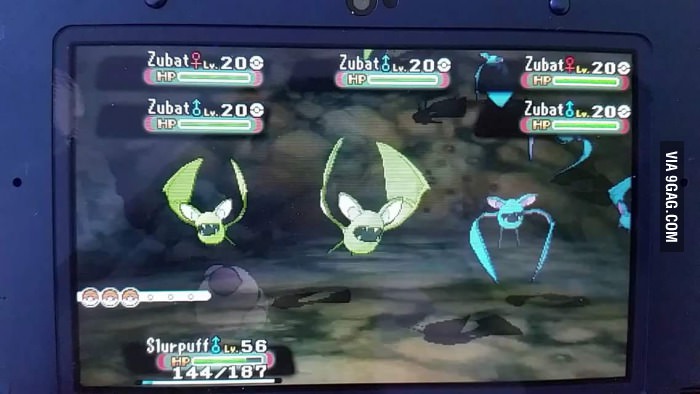 Two shiny zubats!