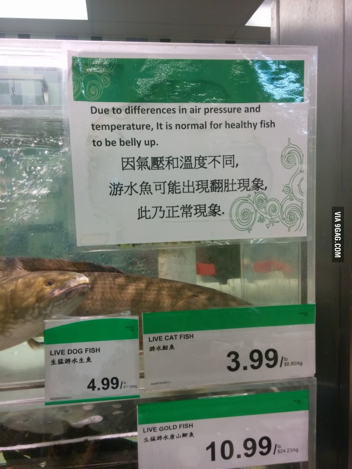 Whatever you say, Chinese grocery.