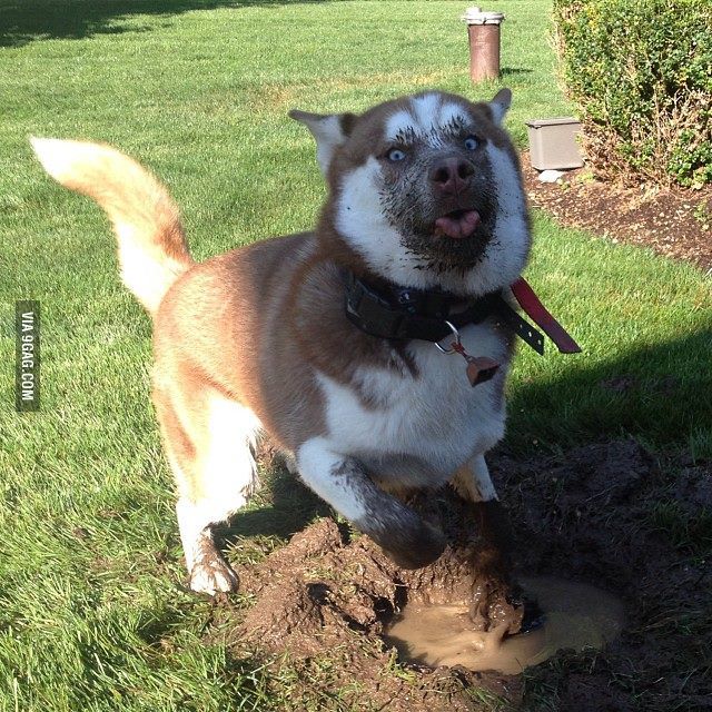 &quot;Digging a hole... why do you ask?&quot;