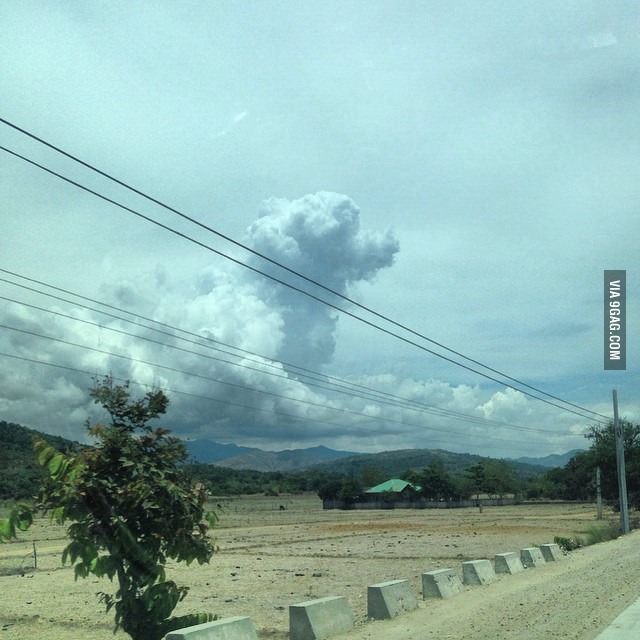 &quot;Every dog has its day&quot;