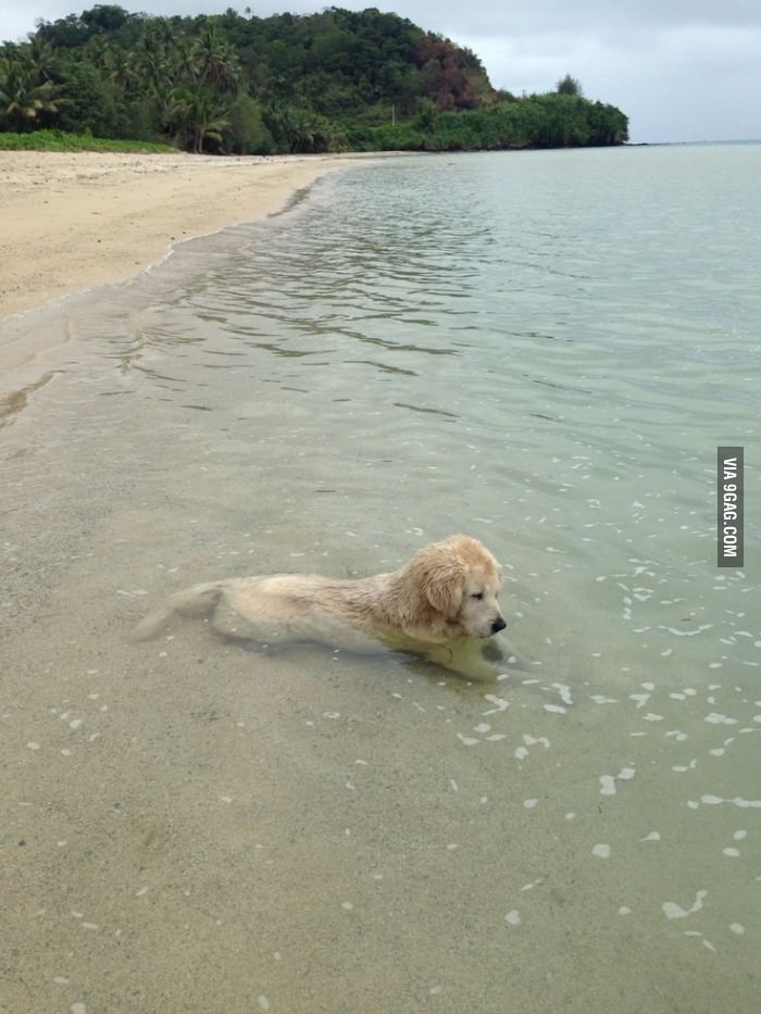 &quot;She sat in the water for an hour, just staring at it&quot;